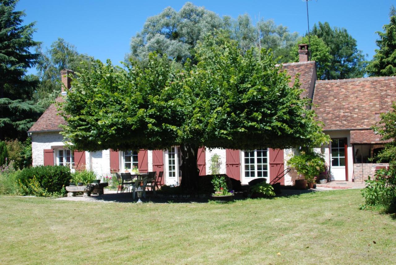 Bed and Breakfast La Petite Marguerite Chitenay Exterior foto