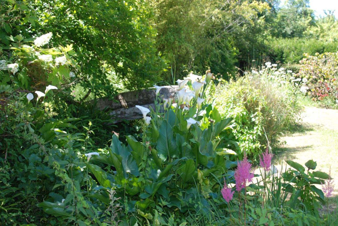 Bed and Breakfast La Petite Marguerite Chitenay Exterior foto